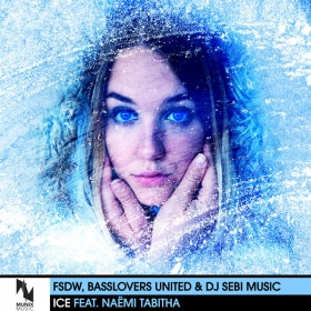 FSDW, BASSLOVERS UNITED & DJ SEBI MUSIC - ICE